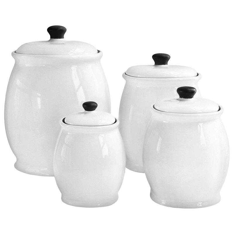 Wayfair Basics 4 Piece Storage Jar Set & Reviews Wayfair